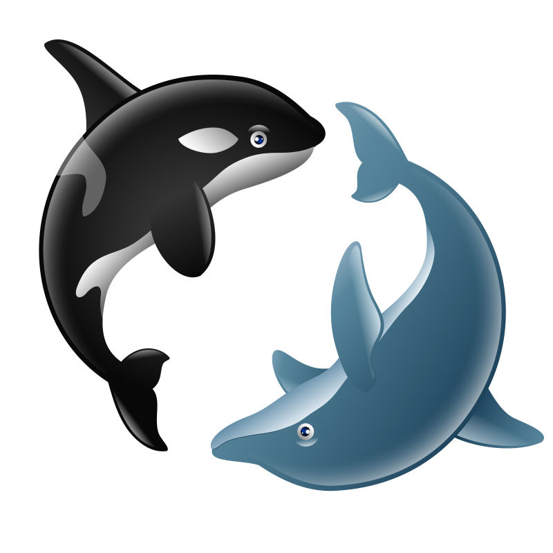 海豚与虎鲸卡通矢量图