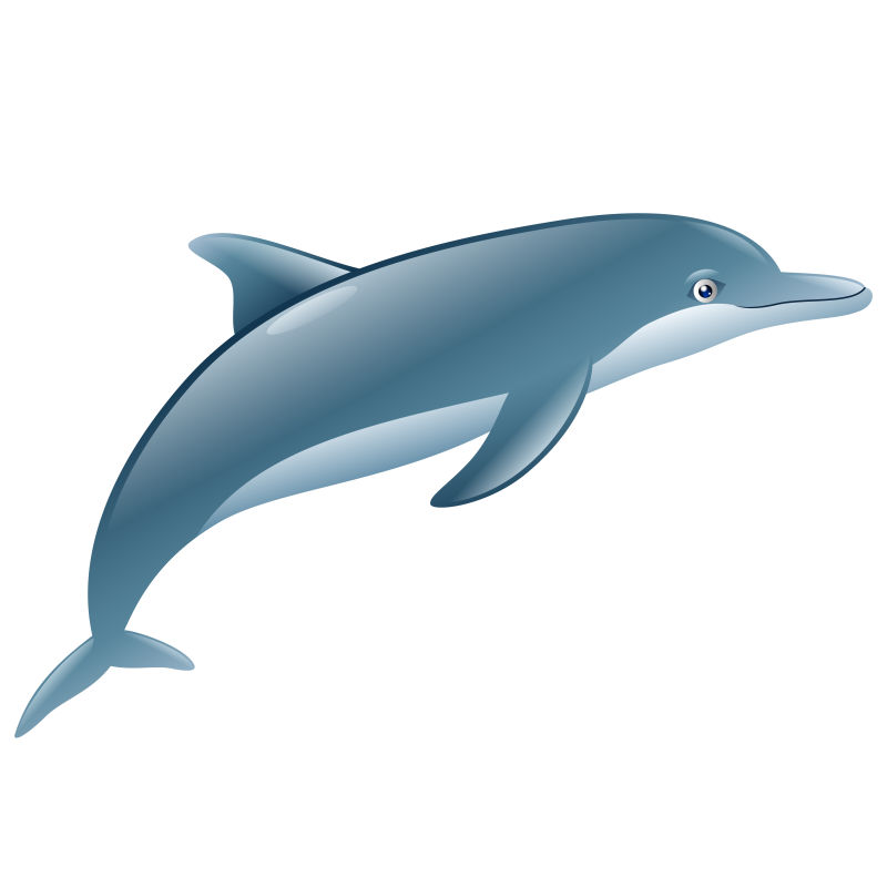 优雅的海豚卡通矢量图