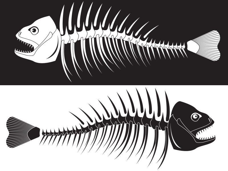 鱼的骨骼矢量插图