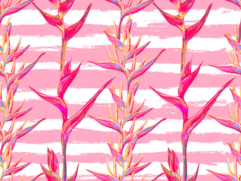矢量的粉色热带花卉