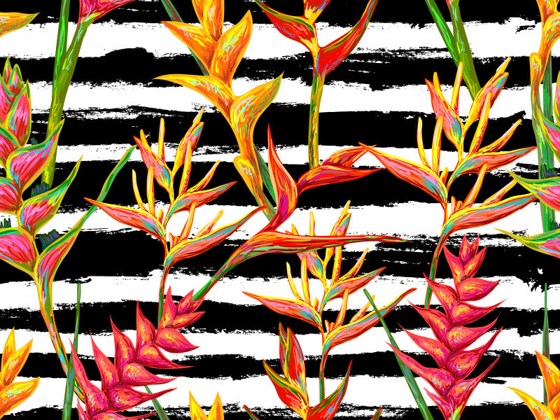 矢量的热带花卉图案设计