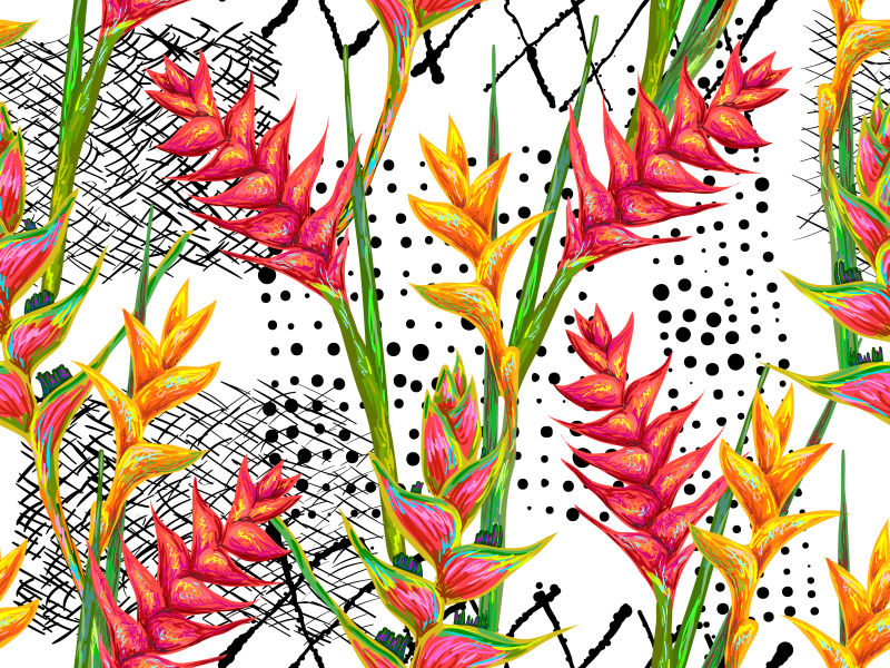 彩色热带花卉插图矢量设计