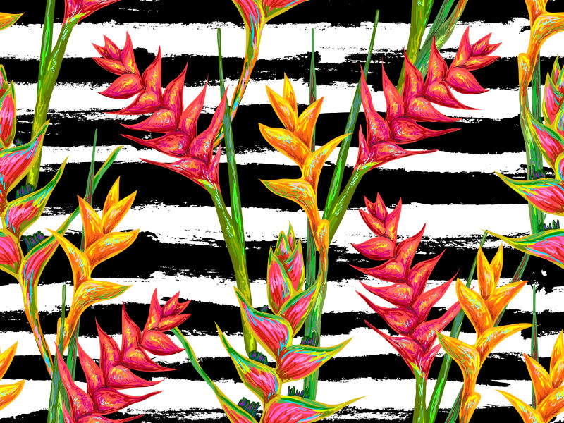 热带花卉插图矢量设计