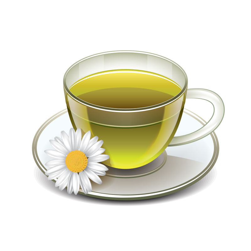 绿茶和雏菊矢量插图