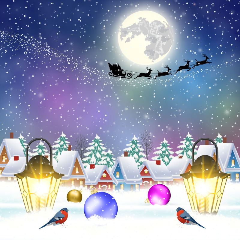 矢量美丽的冬季圣诞节村庄夜晚插图