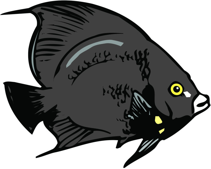 黑色鱼类矢量卡通图