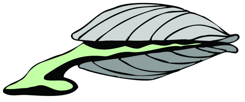 绿色舌头的贝壳矢量卡通图