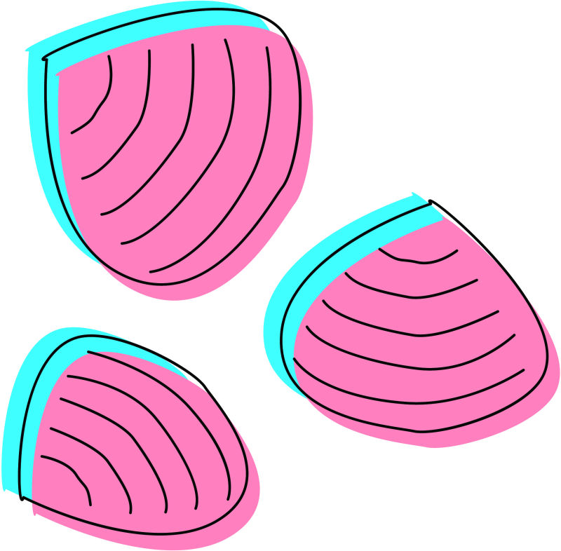 三个粉色贝壳矢量图
