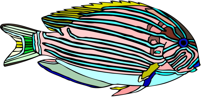 条纹鱼矢量图