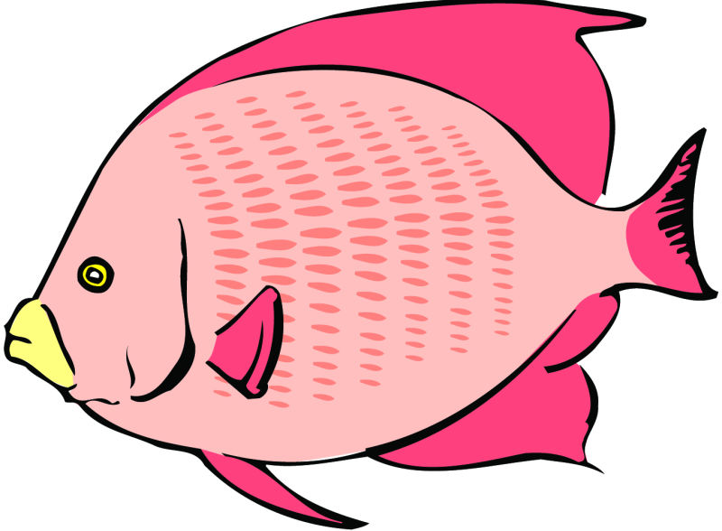 粉色鱼类矢量卡通图