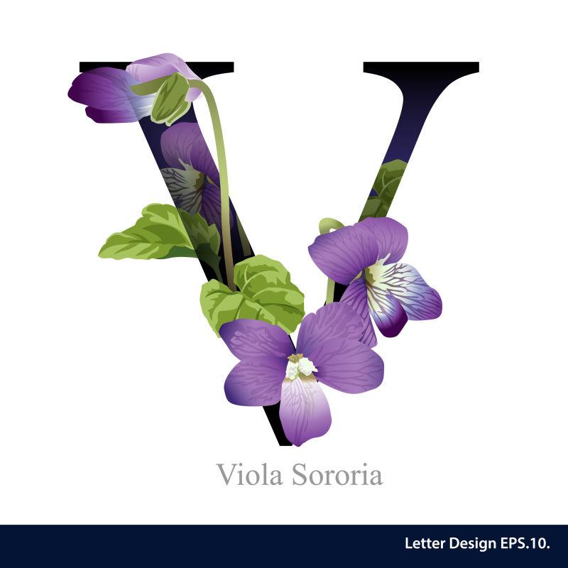 矢量的紫色花朵和字母