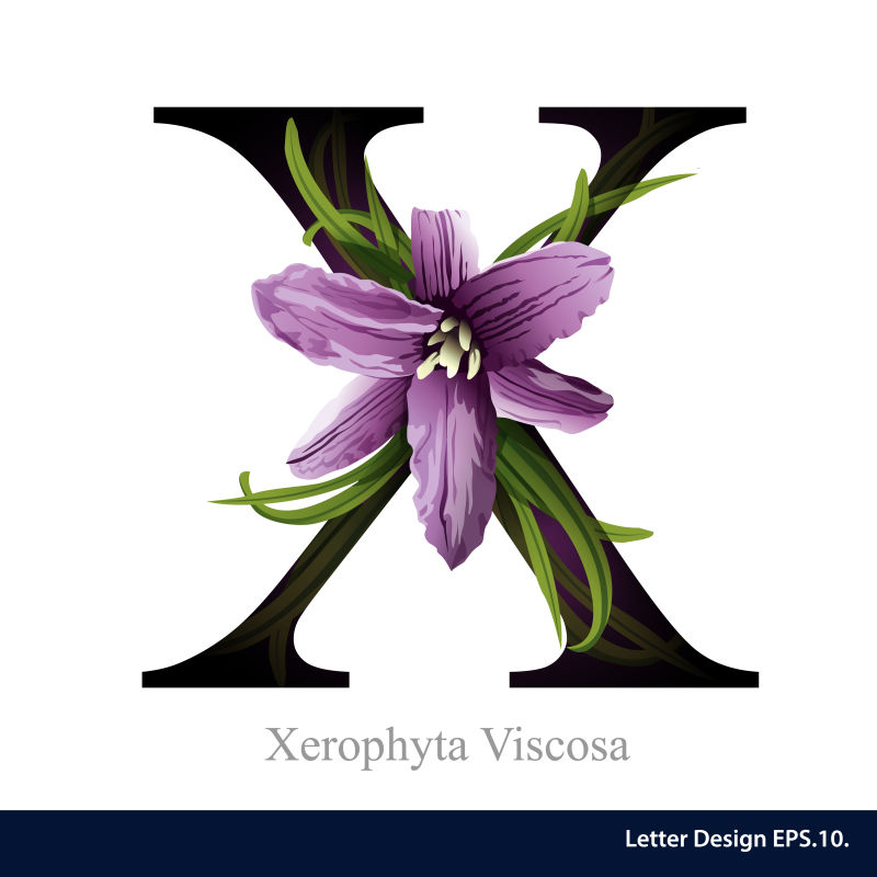 矢量紫色兰花装饰的字母X插图设计