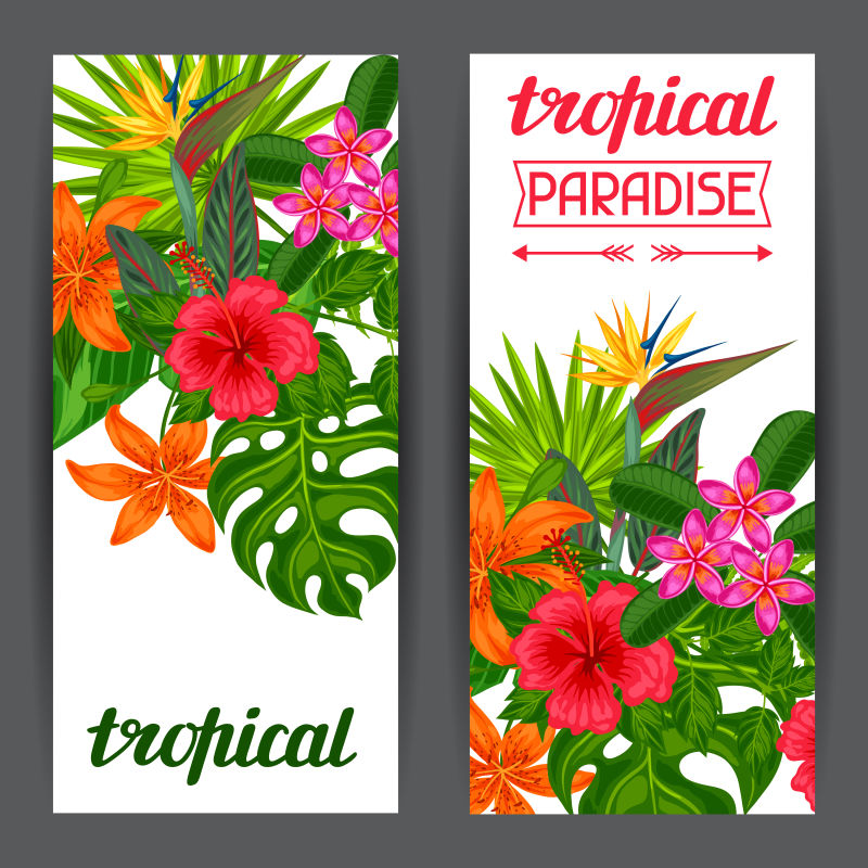 热带植物树叶和花矢量横幅设计