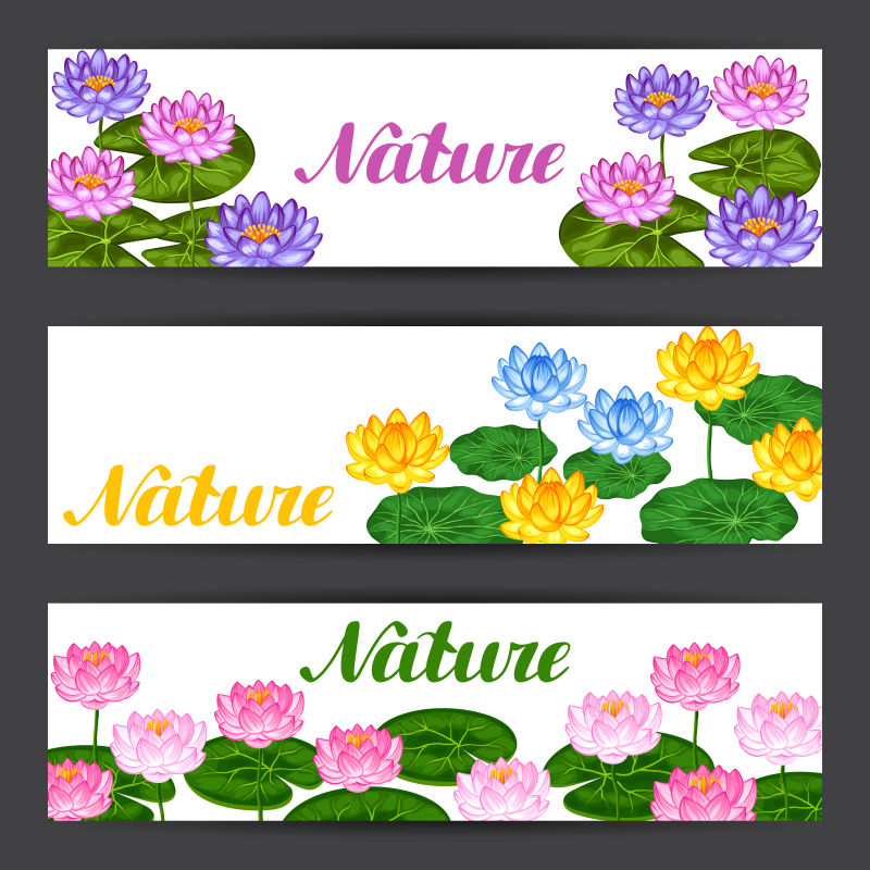 莲花和叶子的自然旗帜矢量横幅设计