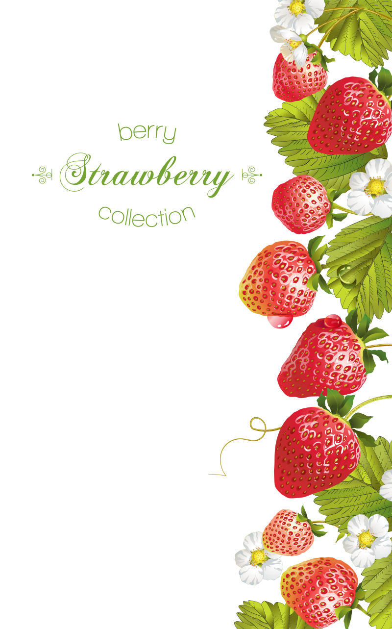 矢量草莓横幅设计