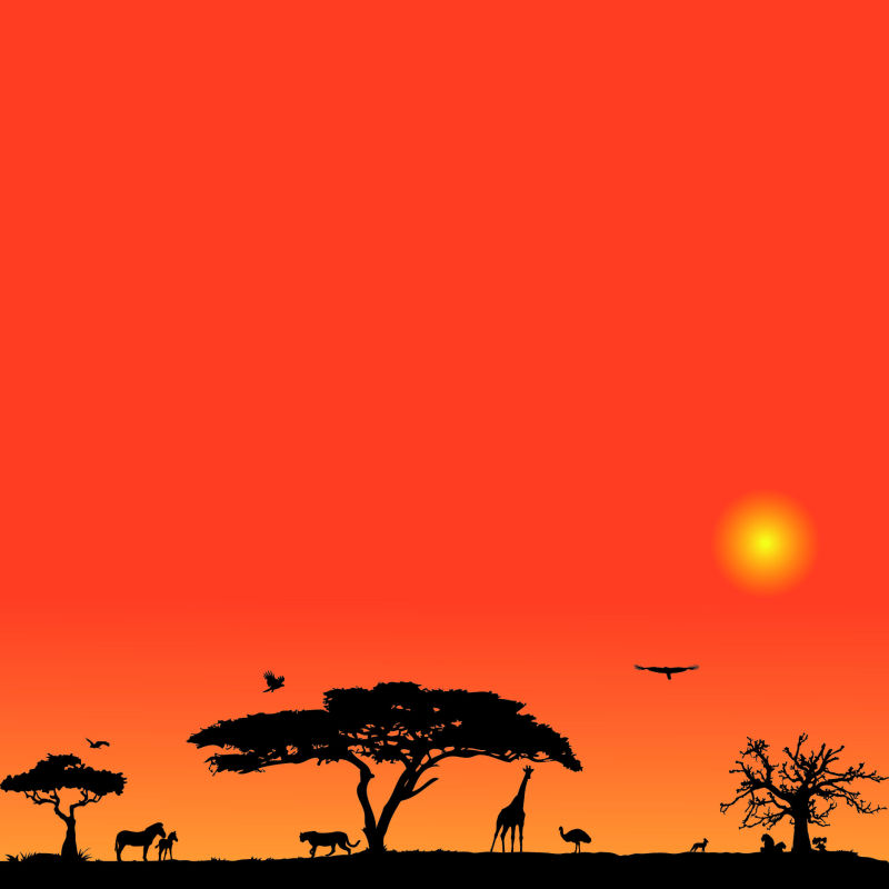夕阳下的非洲大草原矢量插图
