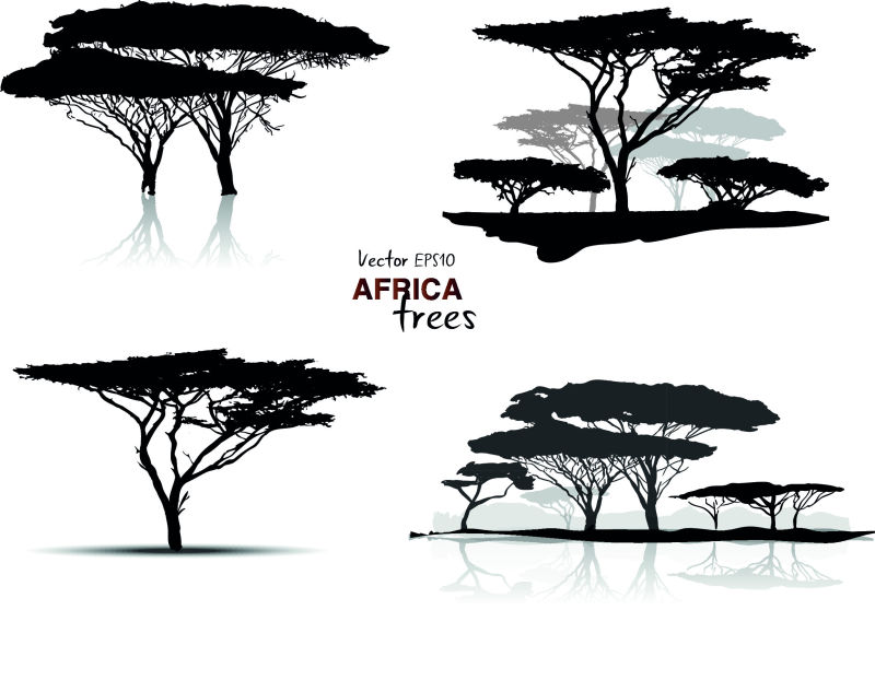 非洲树木剪影矢量插图