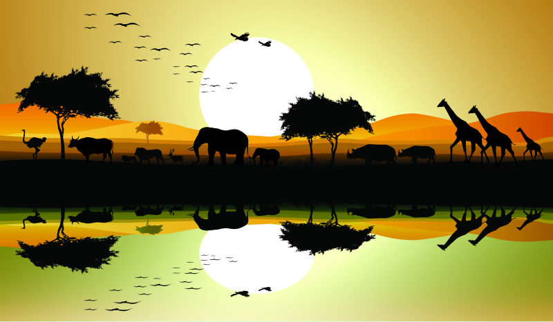 夕阳下的非洲草原矢量插图