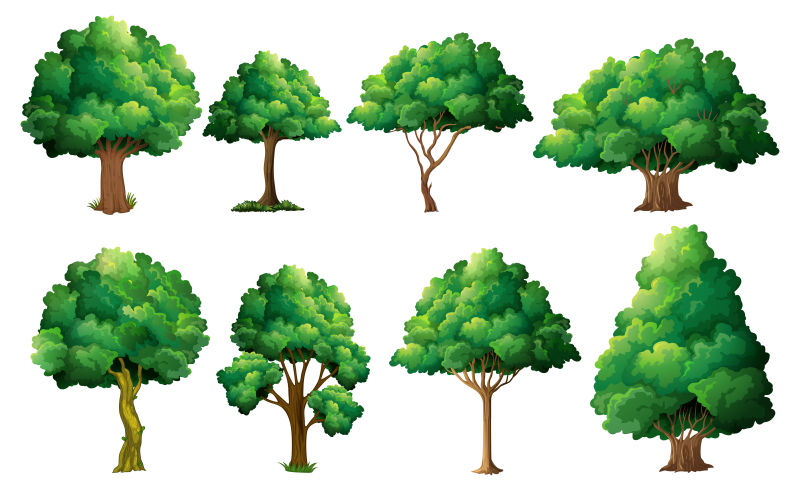 矢量粗细不同的树干的绿叶树木