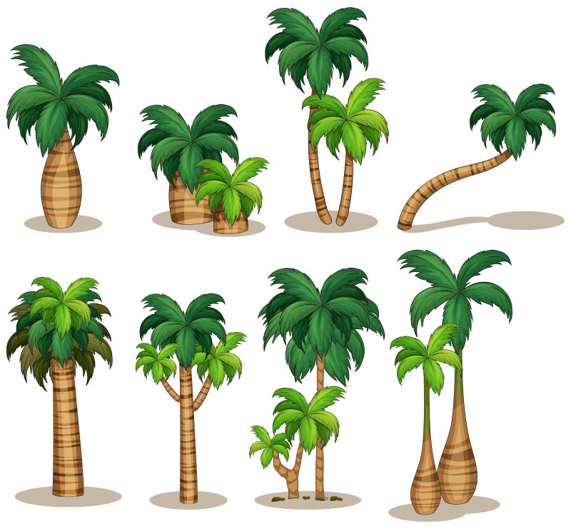 矢量树干粗细和生长形态都不同的棕榈树