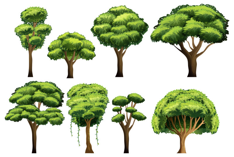 矢量不同分支生长形状的绿叶树木