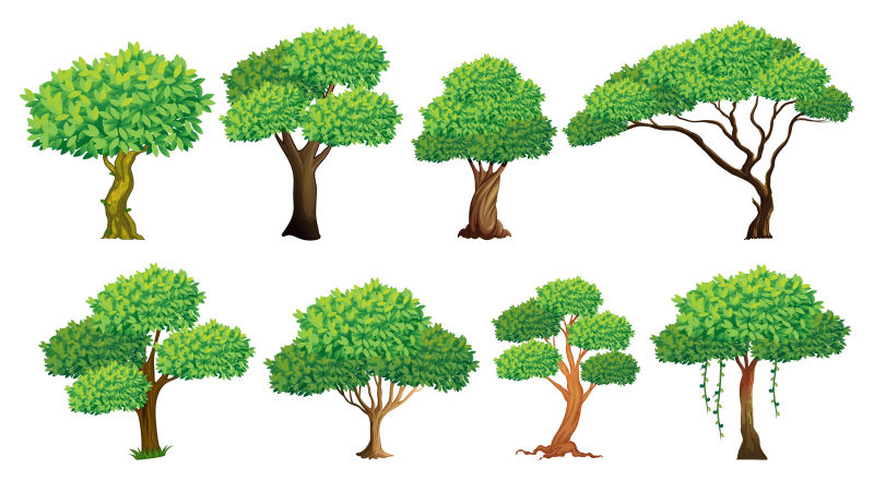 矢量以不同姿态生长的绿叶树木