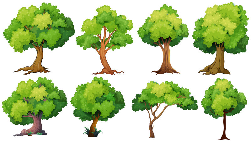 矢量树干粗细不同的绿叶树
