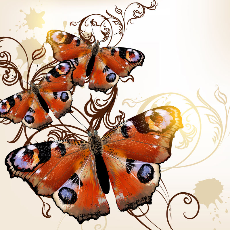 创意矢量手绘风格的蝴蝶插图