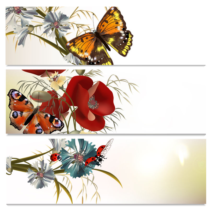 抽象矢量美丽的花卉和蝴蝶横幅设计