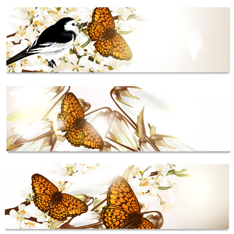 创意矢量手绘美丽的蝴蝶插图