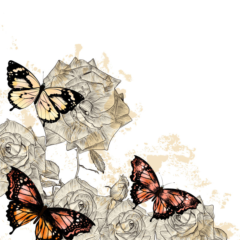 抽象矢量美丽的手绘蝴蝶和花朵插图
