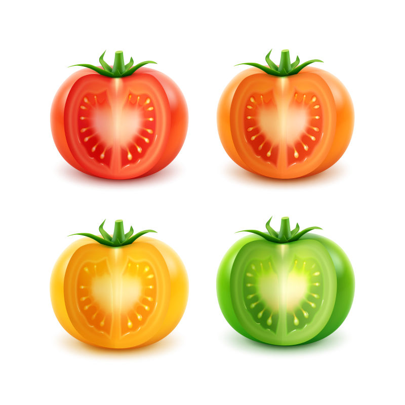 矢量不同颜色的番茄