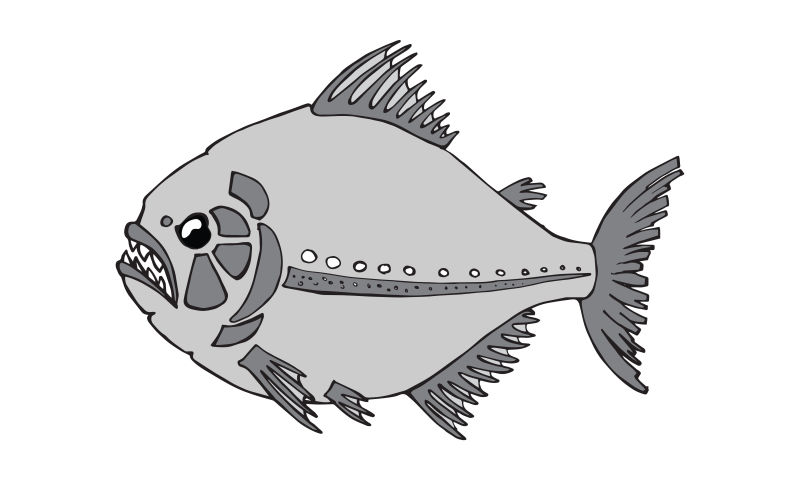 卡通食人鱼矢量插图