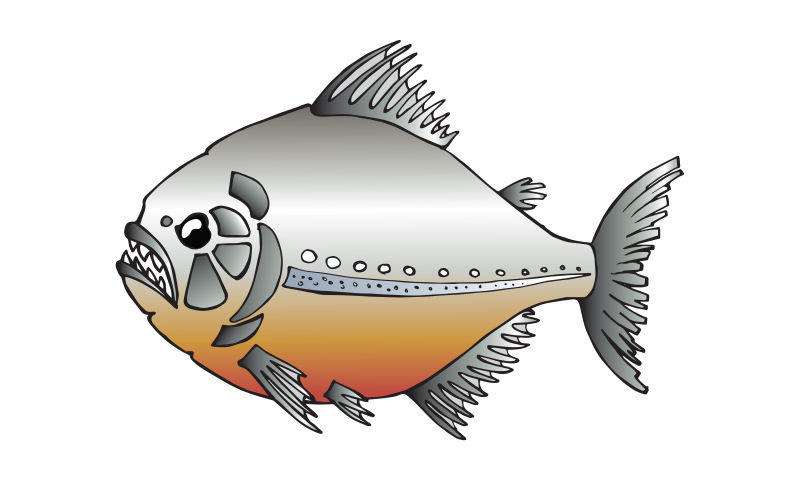 矢量的热带食人鱼插图