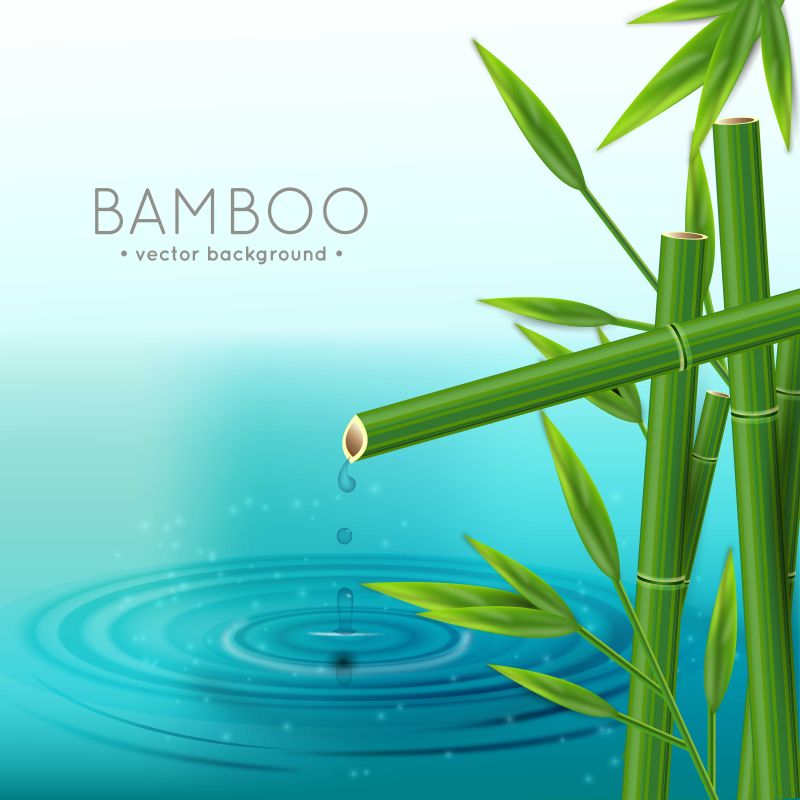 自然流动的竹子里的水滴矢量插图