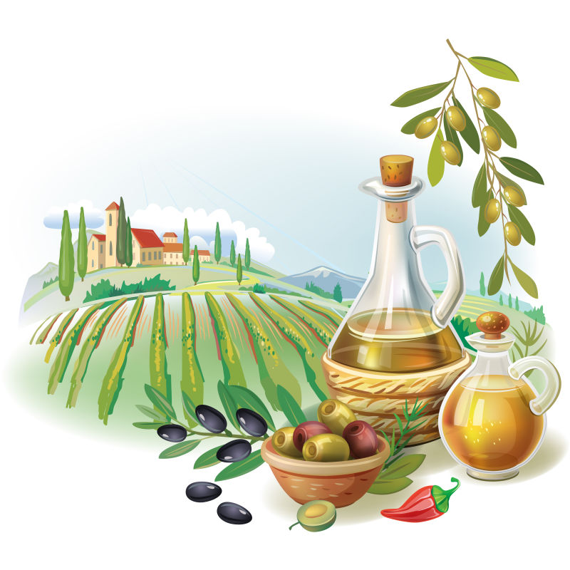矢量古典风格的橄榄油生产插图