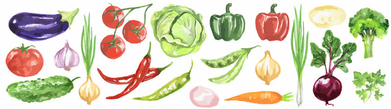 矢量水彩蔬菜插图