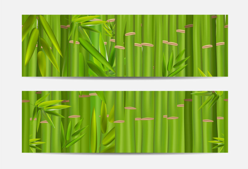 矢量竹子横幅设计