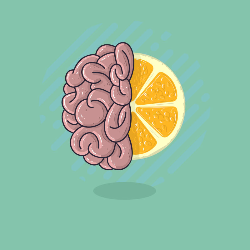 人脑和柑橘类水果相结合矢量创意设计