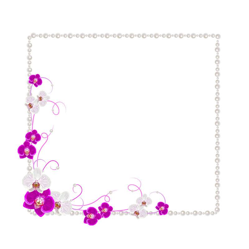 在白色背景上的兰花和珍珠的排列矢量