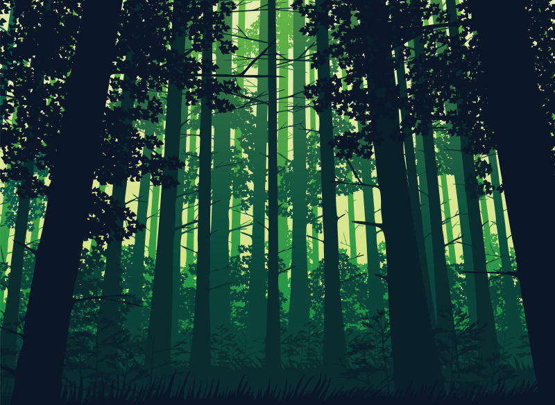 矢量的绿色森林插图设计