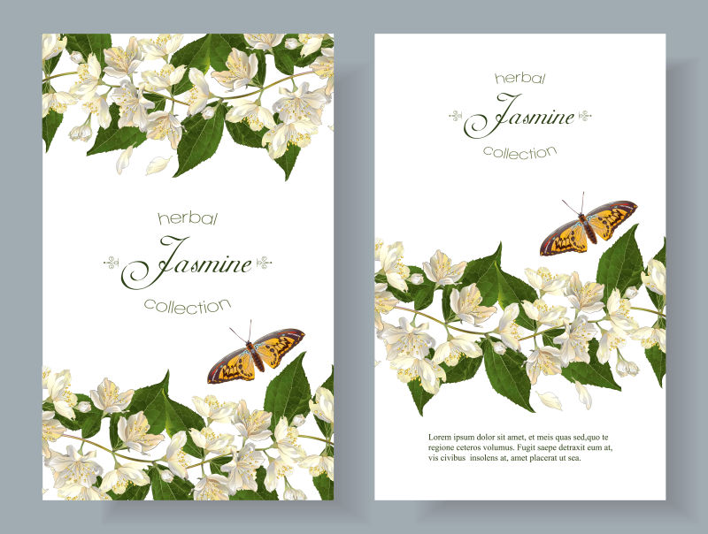 创意矢量白色花卉装饰的卡片设计
