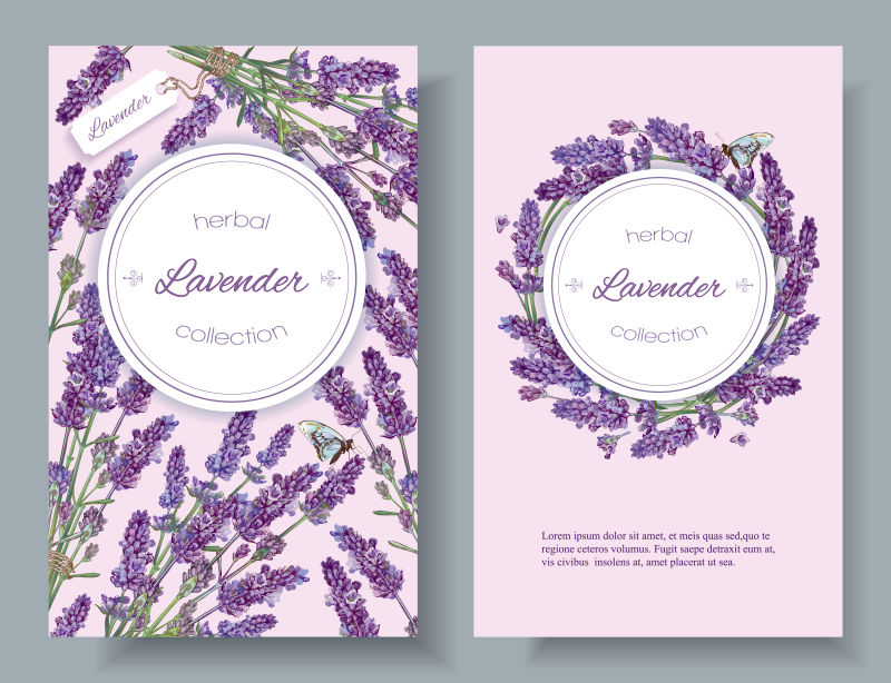 创意矢量紫色薰衣草元素的装饰卡片设计