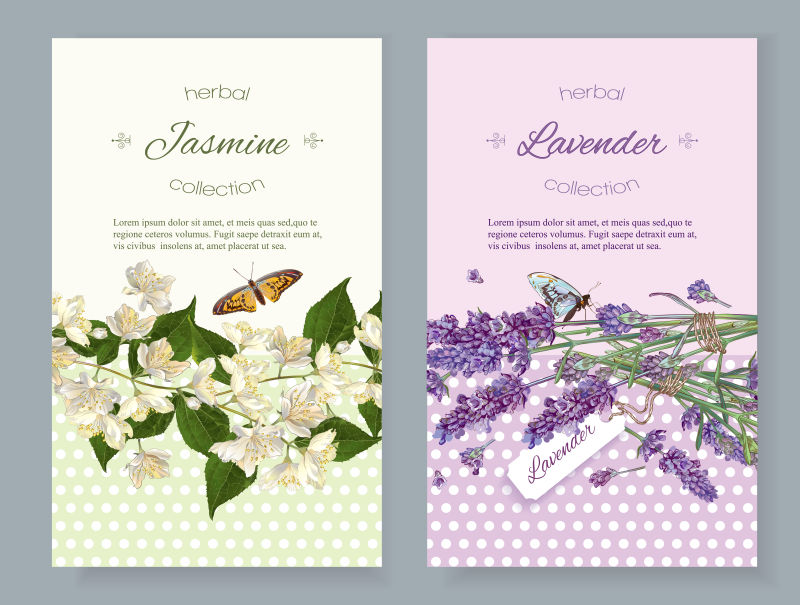 矢量天然花卉元素的装饰卡片设计