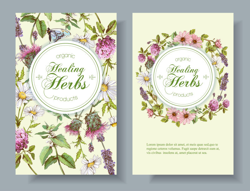 创意矢量装饰花卉元素的卡片设计