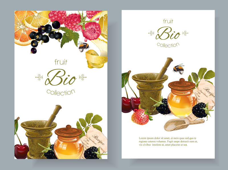 创意矢量天然蔬果浆果元素的装饰卡片设计