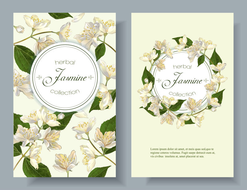 矢量白色花卉元素的装饰卡片设计