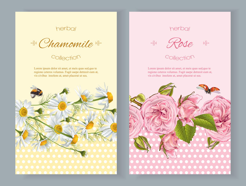 矢量花卉装饰的设计卡片
