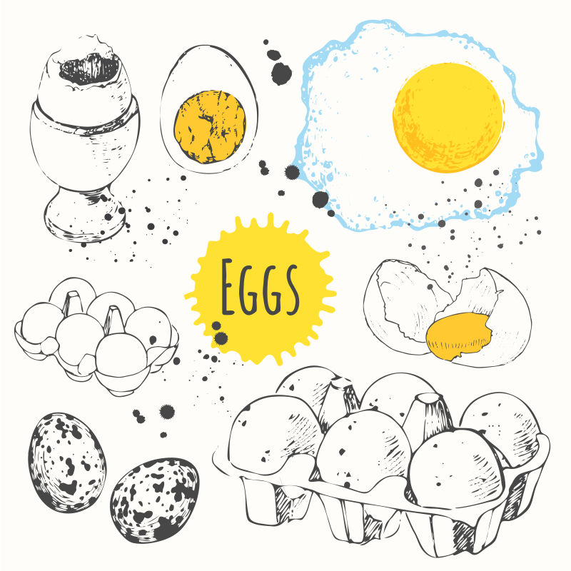 矢量鸡蛋和鹌鹑蛋