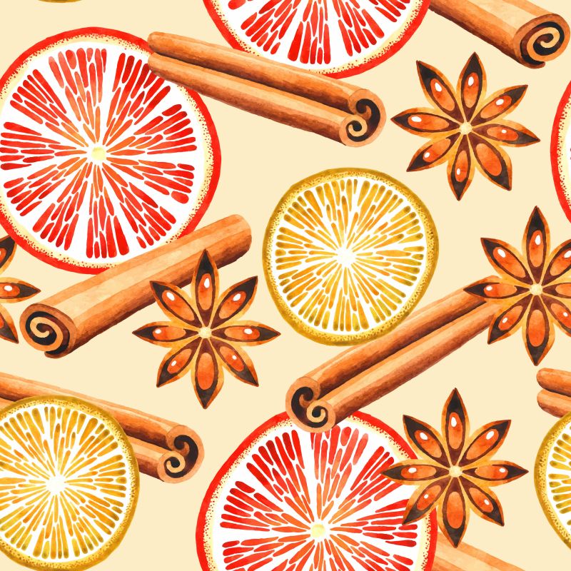 橙子片与肉桂矢量水果香料背景